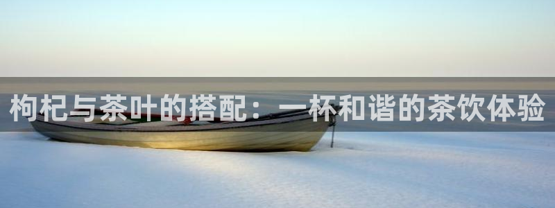 摩登7属于什么平台