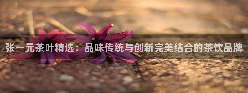 摩登7 lite