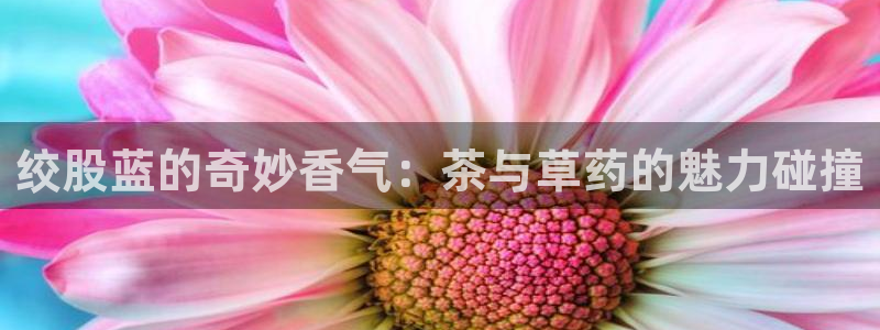 摩登6郑7O667
