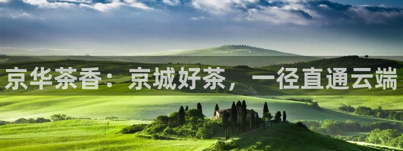 摩登7股东