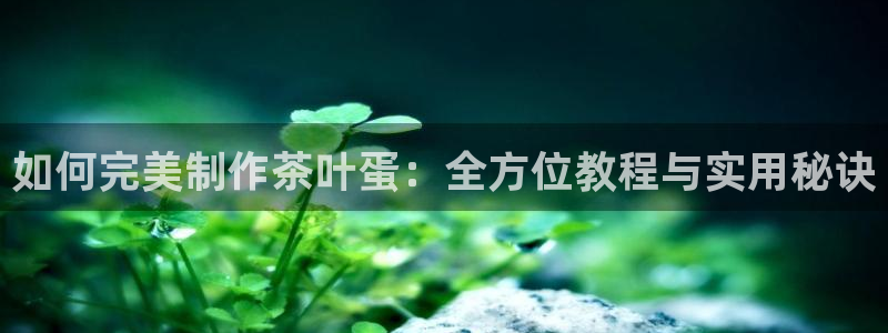 摩登7服333OO