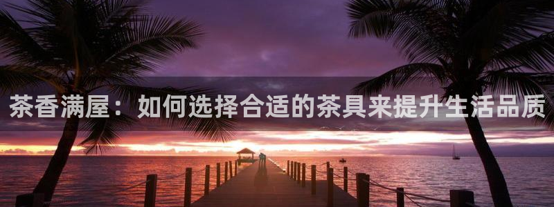 摩登7排名