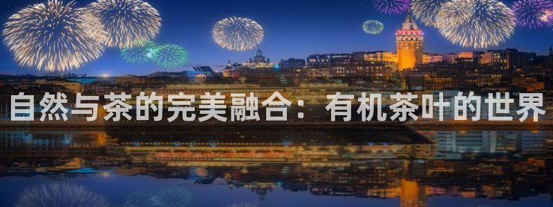 摩登7 1