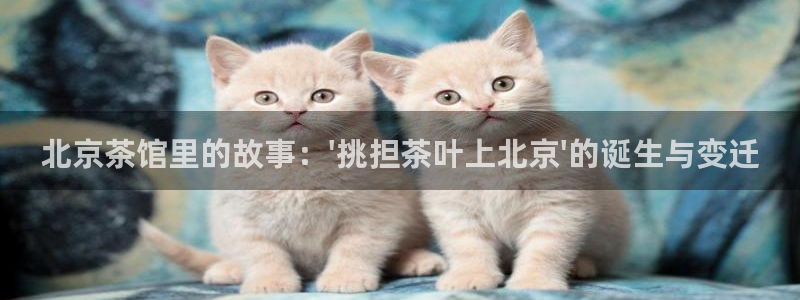 摩登5吕7O667