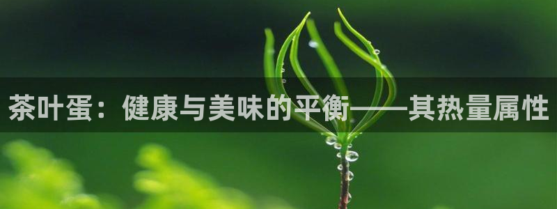 摩登7平台382223
