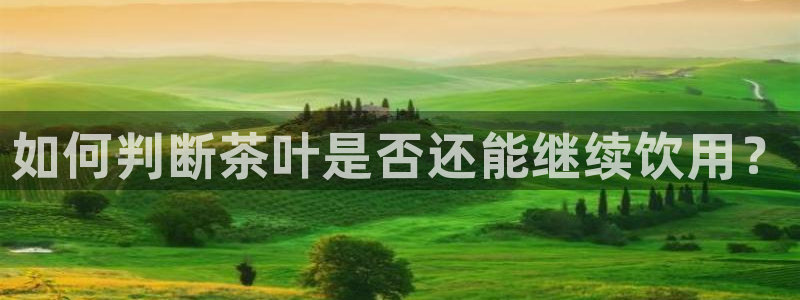 摩登7右