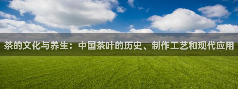 摩登7公司排名