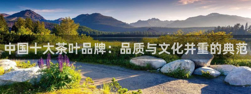 摩登7d2