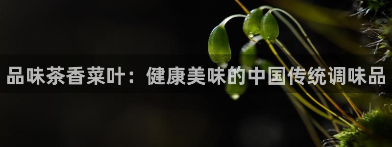 摩登7月7O667