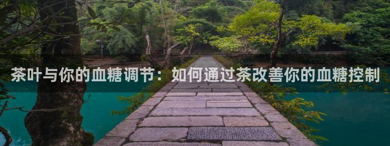 摩登7招商排名