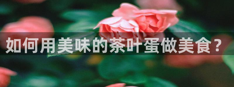 摩登6后7O667