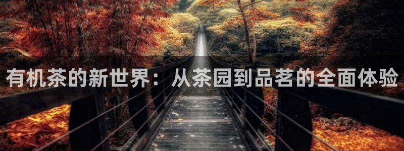 摩登7月3299O7