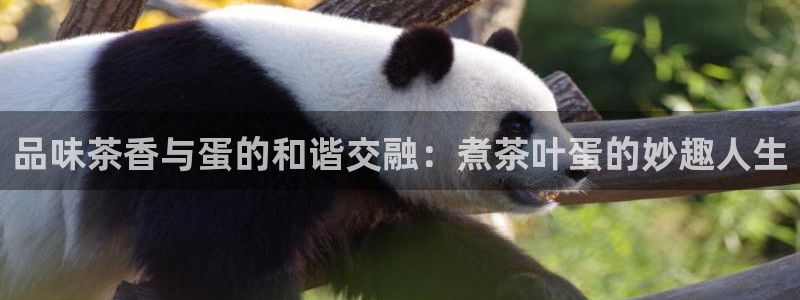 华彩7级摩登
