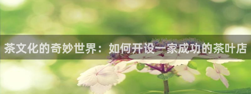 摩登5月7O667