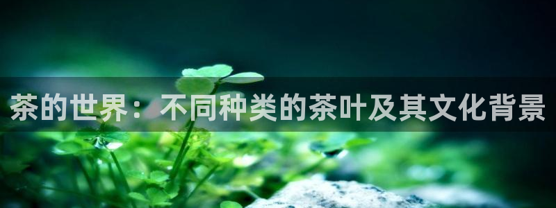 摩登4下7O667