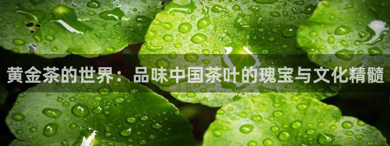 摩登7风3299O7