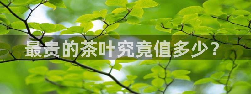 摩登招商尢首选金手指7