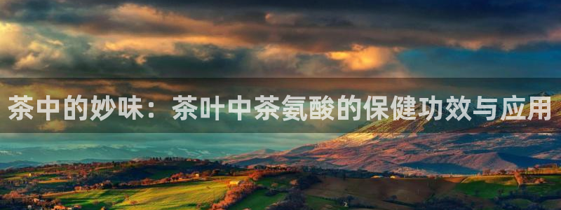 摩登7招商382223