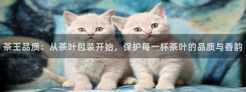 摩登7主管亲333OO
