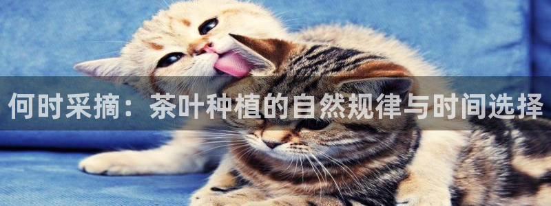 摩登7开户