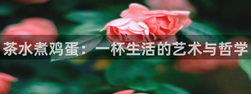 摩登7链接