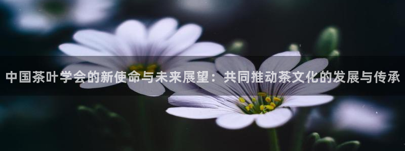 摩登5右7O667