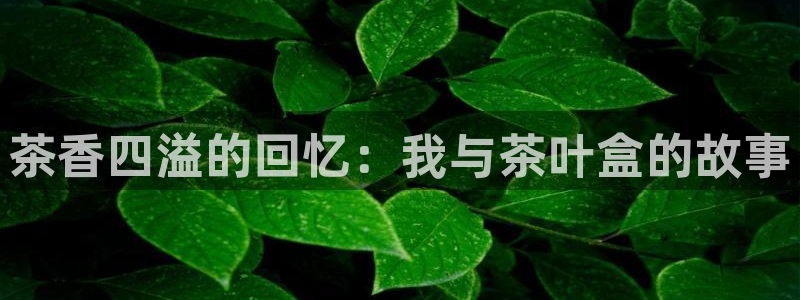 摩登6郑7O667