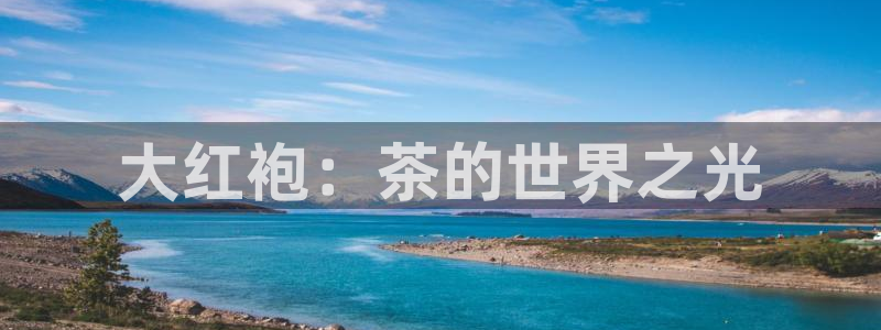 摩登7链接