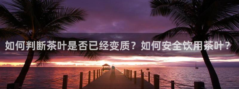摩登7经3299O7