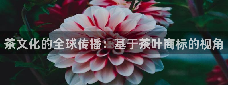 摩登7主管qq