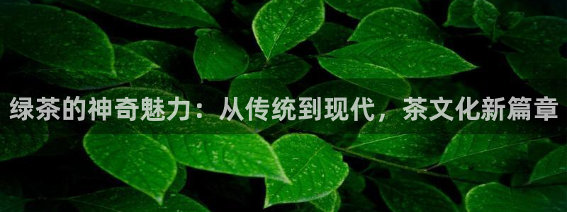 摩登7左