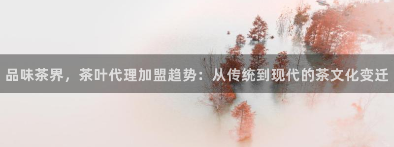 摩登7官方联系方式