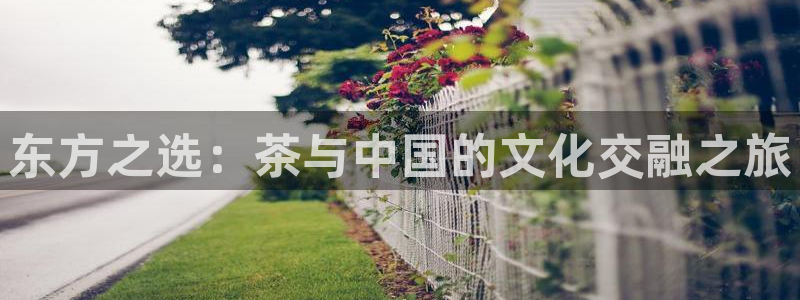 摩登7左3299O7
