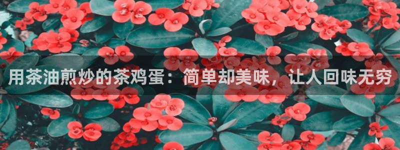 摩登招商7佳22650