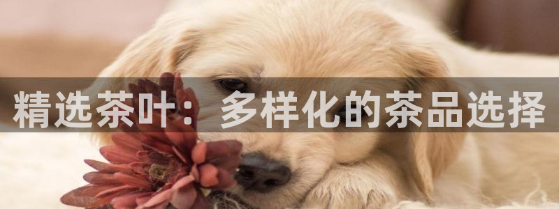 摩登7平台信誉