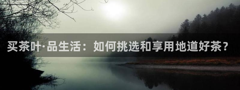 摩登5天7O667