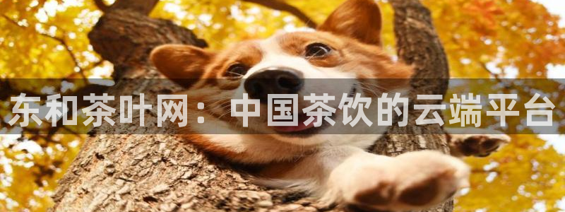 摩登7系列