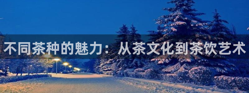摩登精品7口碑极限