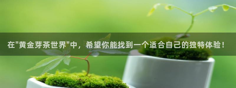 摩登7直属招商