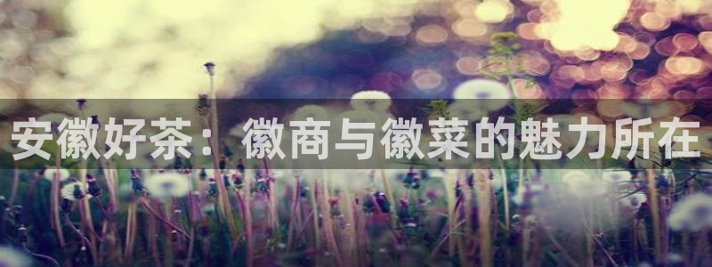 摩登7招商主管