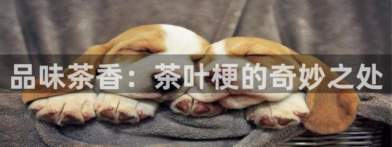 摩登7左