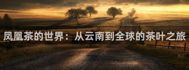 摩登7平台网址