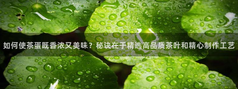 摩登7平台招商