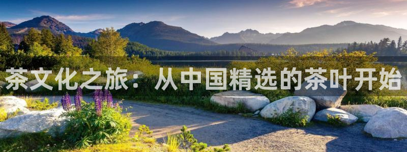 摩登7登陆