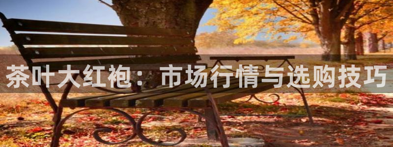 摩登7公司排名