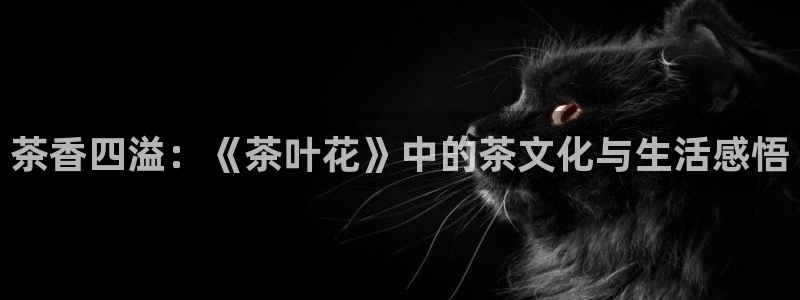 摩登7天3299O7